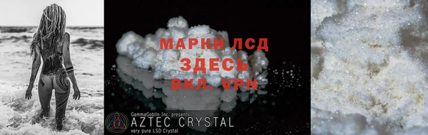 хмурый Арсеньев