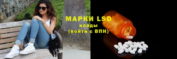 хмурый Арсеньев