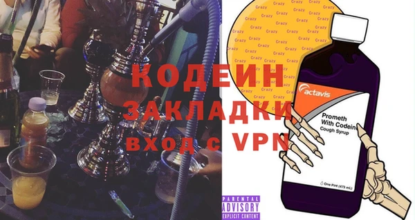 хмурый Арсеньев