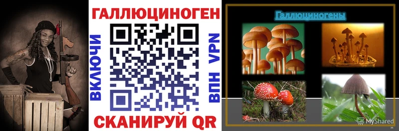 Псилоцибиновые грибы Psilocybine cubensis  где купить наркоту  Сурск 